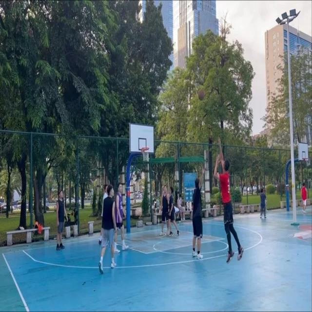 以数据视角解读篮球季后赛第121组走势